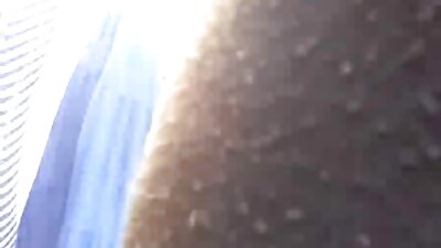 ಬಿಂಬೊ ಸಮ್ಮರ್ ಬ್ರಿಯೆಲ್ ದೊಡ್ಡ ಕಪ್ಪು ಹುಂಜದ ಮೇಲೆ ಕುಳಿತು ಸವಾರಿ ಮಾಡುತ್ತಾನೆ